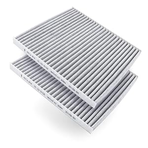 AmazonBasics DS – 8210C-2 Luchtfilter, 22.61 x 20.19 x 1.7 cm, Grijs, 2 stuks