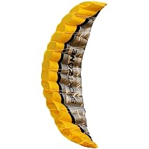 Acheter Cerf-volant de sport de cascade à double ligne de 2,5 m aux couleurs vives pour le plaisir en extérieur