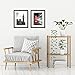Americanflat 2 Pack - 11x14 Black Picture Frames - Made to Display Pictures 8x10 with Mats or 11x14 Without Mats - Wide Moldings