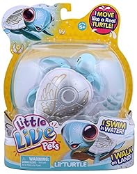 Little Live Pets Turtle - Pearly