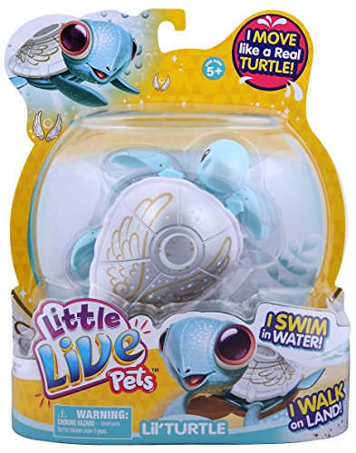 Little Live Pets Turtle - Pearly (Best Land Turtles For Pets)