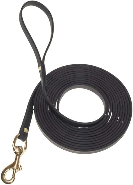 dog tracking lead