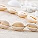 Artio Shell Choker Necklace Jewelry for Women and Girls NK-510