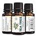 Tea Tree 100% Pure Essential Oil, Melaleuca Therapeutic grade, Concentrated, Powerful, Antifungal, treat athletes foot warts etc., Organic 15ml/0.5oz-by HopeWind Health