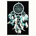 Betterdecor Handmade Dream Catcher with Feathers Wall Hanging Decoration (with a Bag)