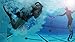 Swimming Pool Diving Toys, Great accessories for water games, Pool supplies for adults and kids, Training dive toys for learning to swim, Sold by Household Suppliers (set of 4)