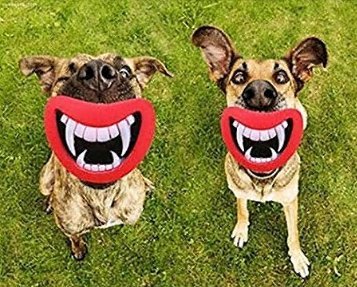 Caomoa 1X Lustige Hund Zähne Silikon Spielzeug Welpen Kauen Sound