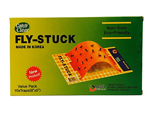 Catchclear fly-stuck - trap flies moths fruit-flies - d…