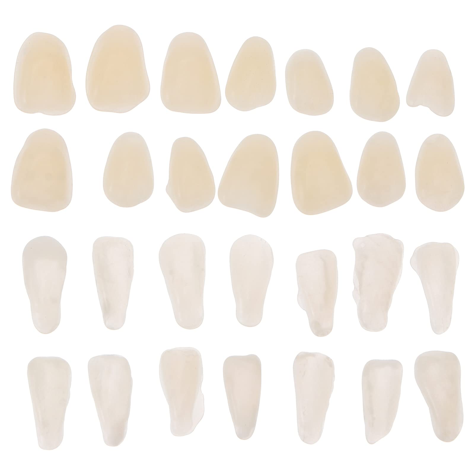 Healifty 100PCS/ Set Temporary Tooth Repair Kit Teeth Veneer Repair Kit Tooth Filler Kit Dental Temporary Crown for Fix Filling The Missing Broken Tooth Dental Gaps