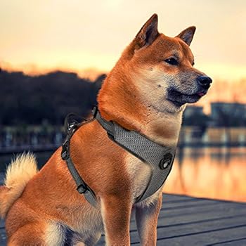 harness comfort dog escape proof pull handle walking vest dogs easy medium reflective adjustable chest pet
