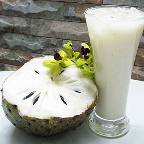 20Pcs Soursop Tropical Fruit Custard Apple Graviola Annona Muricata Seeds