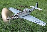 maxflite.de P-51 Mustang Airplane Wind Wheel/Spinner, Propeller Turns in Wind, Gardendecoration - Stainless Steel