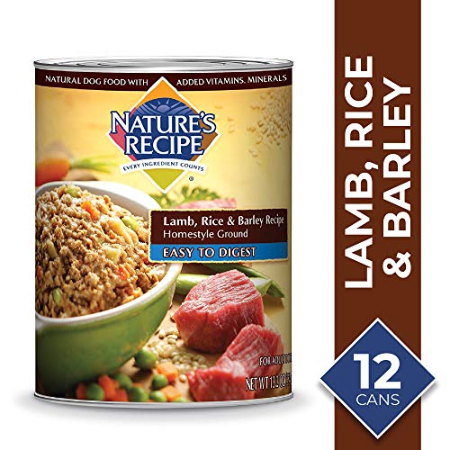 Best Canned Dog Food of 2018? Complete Reviews with Comparison