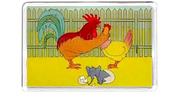 Pájaro de pollo huevo de gallina chick elefante bebé mascota ...