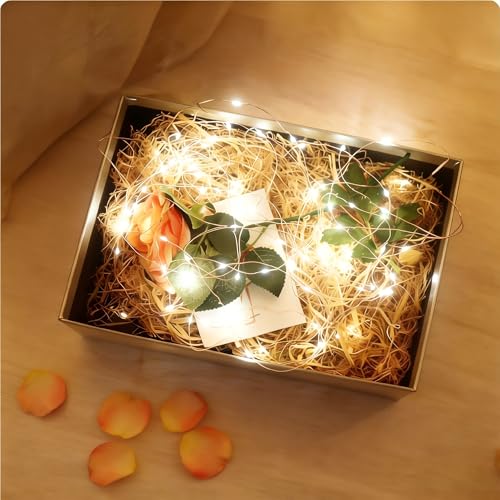 2 Pack Fairy Lights LED String Lights 10M/33FT 100LEDs Battery Waterproof Copper Wire String Lights for New Year, Christmas, Halloween, Valentines, Party, Garden, Room, Weddings