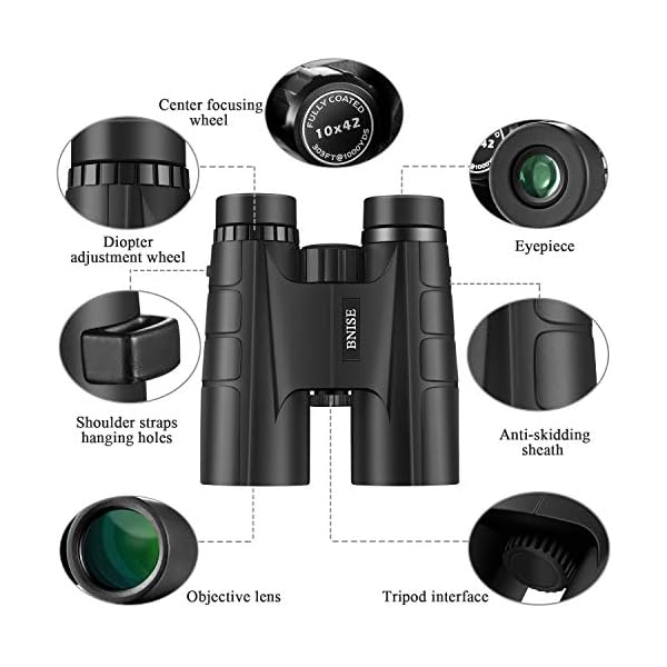 BNISE Ferngläser, Fernglas Kompakt, 10X42 HD, vogelbeobachtung BAK4 Prism FMC, Geeignet für Vogelbeobachtung, Jagd und… – Bild 3