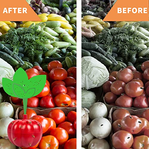 Fruchtfliegenfalle mit Köder Indoor, Küche Fruchtfliegenfalle mit Steck Fliegenfalle Klebeplatten, ungiftig und sicher, 2 Fallen + 1 Fliegenköder+12 Grüne Aufkleber Gegen Fliegen