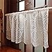 Semi-Sheer Valance for Kitchen Window - Embroidered Lace Short Valance for Kitchen, Cafe, Living Room, Door Decoration, 17 x 59 Inch, White, ZHH