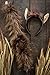 Wildlife Tree Plush Brown Chestnut Horse Ears Headband and Tail Set for Horse Costume, Cosplay or Farm Party Costumes