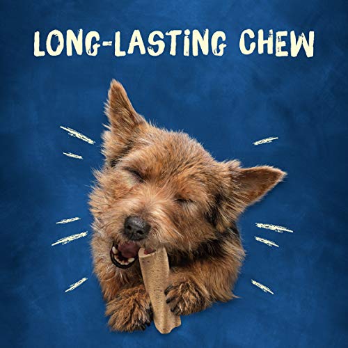 Purina Busy Made in USA Facilities Small Breed Dog Bones; Mini - (2) 21 oz. Pouches