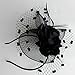Coolwife Womens Fascinator Veil Flower Cocktail Tea Party Headwear (Black)