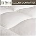 Clara Clark Full/Queen Size Comforter Goose Down Duvet - White, Hypoallergenic Alternative, Box Stitched, Protects Against Dust Mites and Allergens, Washable
