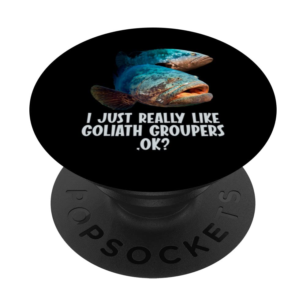 I just really like Goliath Groupers Goliath Grouper PopSockets Swappable PopGrip