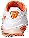 PUMA Men's Titantour Golf Shoe