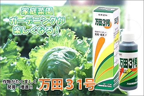 爆安プライス 万田31号 1l B00d38xkik 激安の Cordonnerie Ancenis Fr