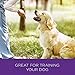 Wellness Pure Rewards Natural Grain Free Dog Treats, Chicken & Lamb Jerky, 6-Ounce Bag