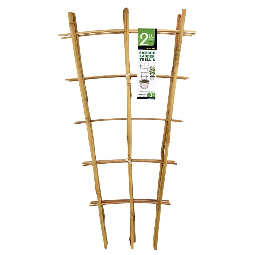 Mininfa Natural Bamboo Trellis, 2FT Garden Ladder Trellis for Climbing Plants, Vegetables, Pots - 3 Pack