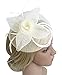 Urban CoCo Women's Vintage Flower Feather Mesh Net Fascinator Hair Clip Hat Party Wedding (Beige)