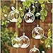 Set of 18pcs 3.15 inches Hanging Tealight Candle Holder Glass Globes DIY Plants Terrarium Wedding Home Decorations…