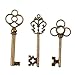 Bingcute Mixed Set of 30 Vintage Bronze Skeleton Key Charm with 30PCS Kraft Paper Gift Tags & 30 Feet Natural Jute Twine