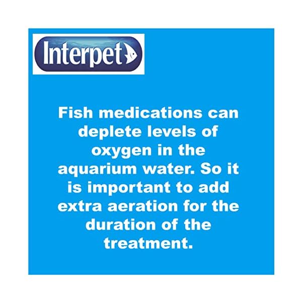 Interpet-Anti-Fungus-and-Finrot-Aquarium-Fish-Treatment-100-ml Interpet Anti Fungus and Finrot Aquarium Fish Treatment, 100 ml