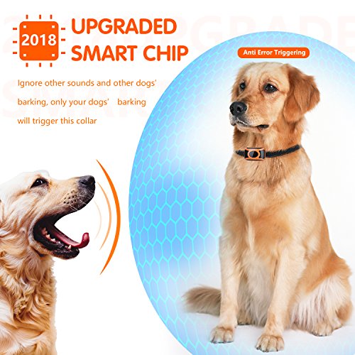 mospro dog training collar