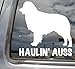 Haulin' Auss Australian Shepherd - Cars Trucks Laptop Vinyl Decal Window Sticker 01014