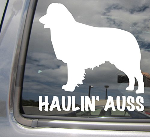 Haulin' Auss Australian Shepherd - Cars Trucks Laptop Vinyl Decal Window Sticker 01014