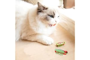 FATDAA Cat Toys Teaser Interactive，Mini Electronic Robot Beetle Funny cat Toy, Cat Bug Educational Toy for Indoor Cats Kitten Play Chase Exercise，2pcs (Beetle+Mouse)