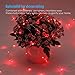 Homestarry Fairy String Remote Firefly Twinkle Multicolor, 33 ft 100 LED's,USB Plug-in, Silver Wire, Waterproof Lights for Bedroom Party Decoration Wedding, 16 Colors Option