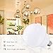 JandCase LED Globe Candelabra Light Bulbs, 2W(25W Equivalent), 250lm, Soft White 3000K, LED Bulbs for Ceiling Fan, E12 Base, Tiny G14 Bulbs, Not Dimmable, 6 Pack