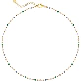 Raicegs Choker Necklace for Women 18K Gold Plated Summer Necklace Dainty Chain Necklaces for Teen Choker Jewelry Gift for Women