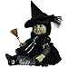 Adora Toddler Wizard of Oz Wicked Witch 20