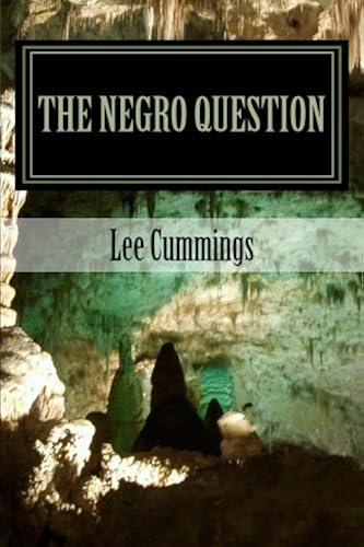 Download The Negro Question: Who Am I PDF