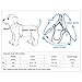 Blueberry Pet Soft & Comfy Made Well Cute Floral No Pull Mesh Dog Harness Vest in Light Blue, Chest Girth 17.5