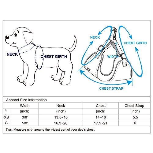 image for Blueberry Pet 6 Patterns Soft & Comfy Spring Made Well Elegant Floral 