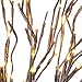 LiyuanQ Branch Lights - Led Branches Battery Powered Decorative Lights Willow Twig Lighted Branch for Home Decoration - 20 Inches 20 LED Lights Warm White (Vase Not Included)