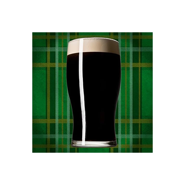 Irish Stout HomeBrewing Beer Brewing Recipe Kit Dark Liquid Malt