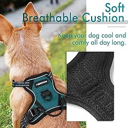 rabbitgoo Dog Harness, No-Pull Pet Harness with 2