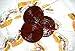 Miguelito Raqueta Paleta Enchilada Mexican Candy Hot Chili Lollipops 40 Pcs